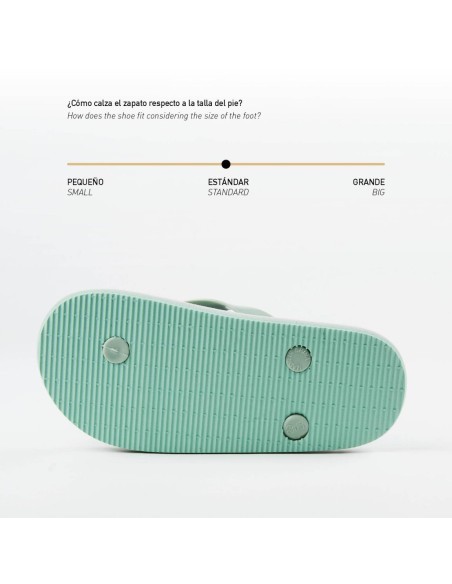 Chanclas premium Frozen v23