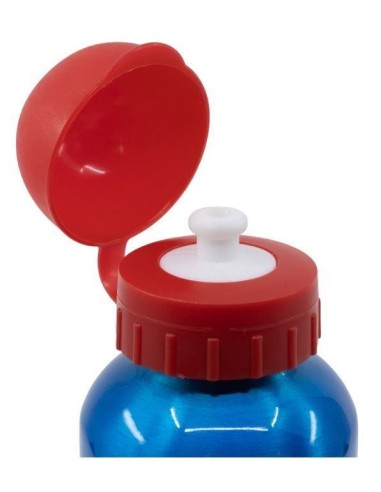 Cantimplora aluminio 530 ml Super Mario Isometric