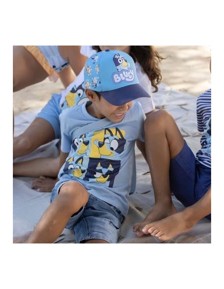 Camiseta mc Bluey v24