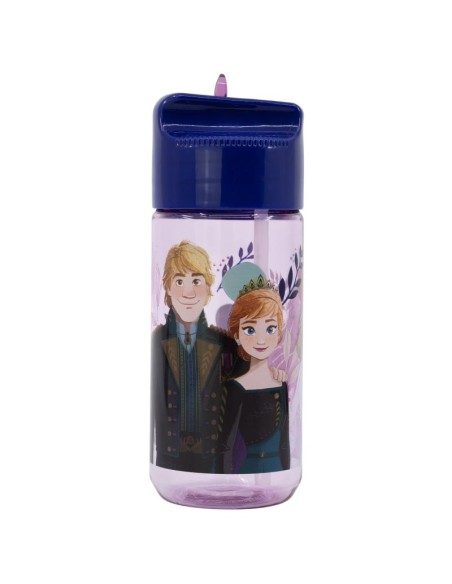 Botella Hidro pequeña 430ml Frozen Trust The Journey