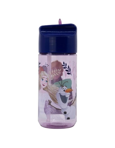 Botella Hidro pequeña 430ml Frozen Trust The...