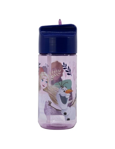 Botella Hidro pequeña 430ml Frozen Trust The Journey
