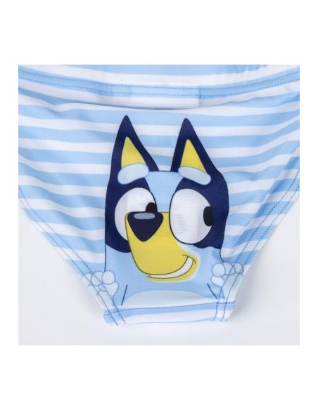 Bañador Slip bluey rayas v24