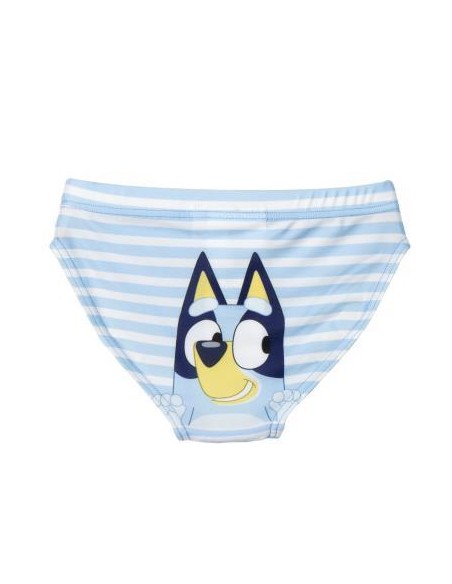 Bañador Slip bluey rayas v24