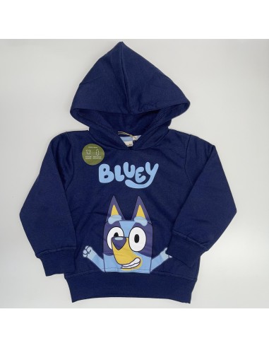 Sudadera Bluey XH1479.REC i24 (GRIS/MARINO) I24