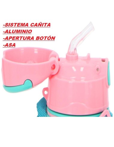 Cantimplora aluminio 600ml asa Frozen