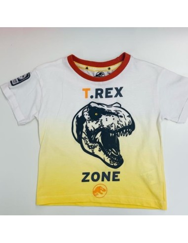 Conjunto mc Jurassic World WE1071 v23