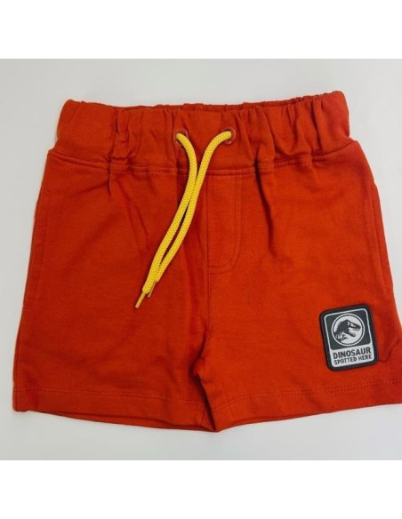 Conjunto mc Jurassic World WE1071 v23