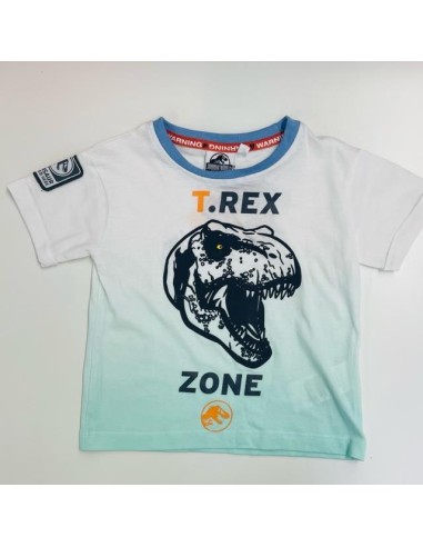 Conjunto mc Jurassic World WE1071 v23