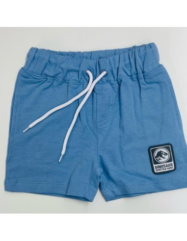 Conjunto mc Jurassic World WE1071 v23